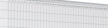 Programma di 3 mesi